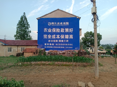 安岳墙体广告为何受追捧？